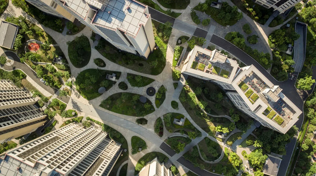 Site Planning & Landscape